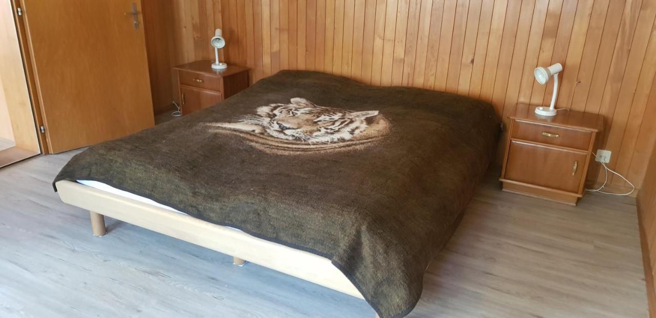 Chalet Spillstatt Grindelwald Kültér fotó